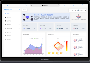 源支付-正版授权-ypay-在线授权