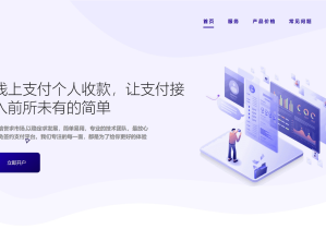 Peak码支付-官方网站-在线授权