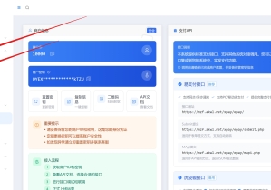 码支付pc自挂使用教程-平台2